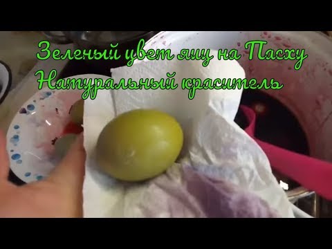 Красим яйца в зеленый цвет - натуральный краситель