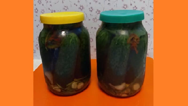 Холодная засолка огурцов на зиму. Фото