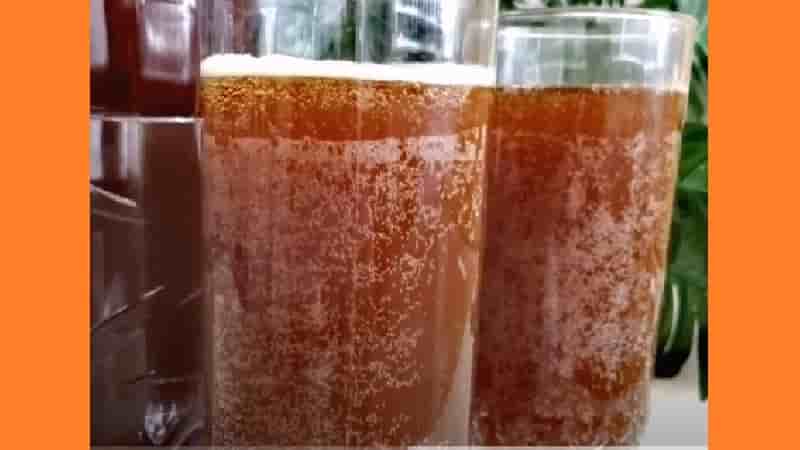 Квас из цикория в домашних условиях. Фото Квас из цикория в домашних условиях. Фото