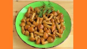 Мариновані опеньки на зиму. Фото