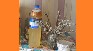 Квас из березового сока без дрожжей. Фото