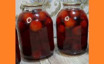 Компот из слив без косточек на зиму. Фото
